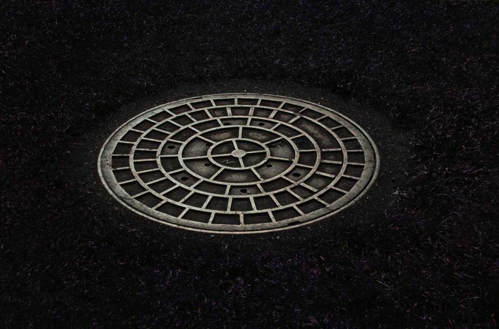 The shiny and bright surface of a manhole cover, surrounded by grass that is a very dark shade of purple.