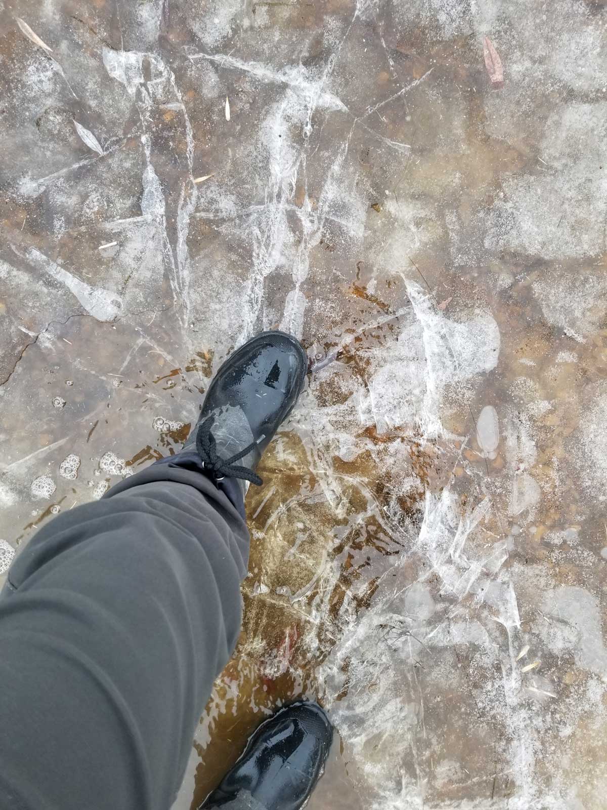 This image shows a boot pushing down onto ice.
