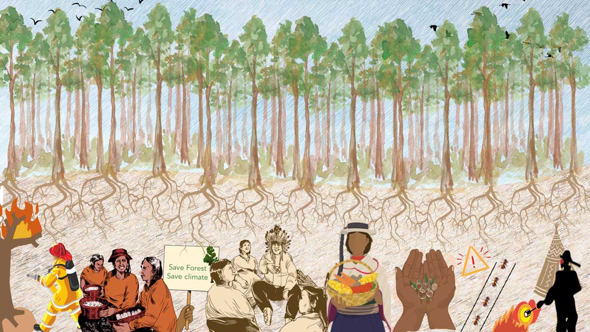 Illustration showing the role of Indigenous Women in Forest Protection and Wildfire Management