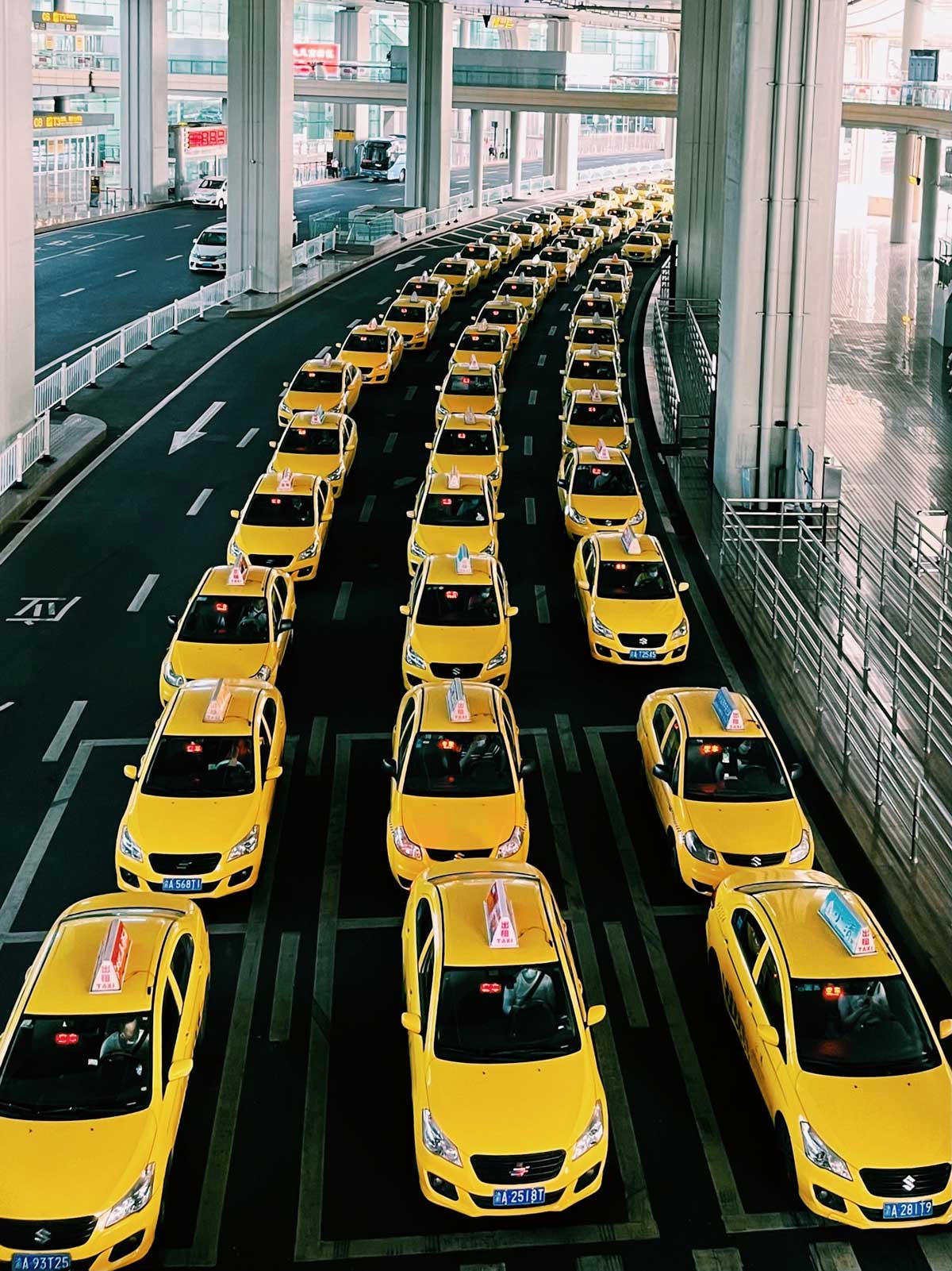 A row of yellow taxis lined up in orderly formation, symbolizing a systematic order like scientific experiments.