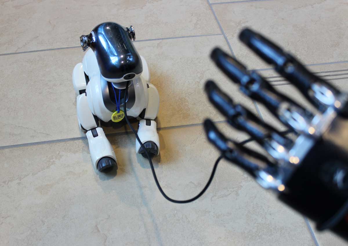 A robotic dog sitting on the ground connected by a wire to a humanoid robotic hand, suggesting an interaction between them.