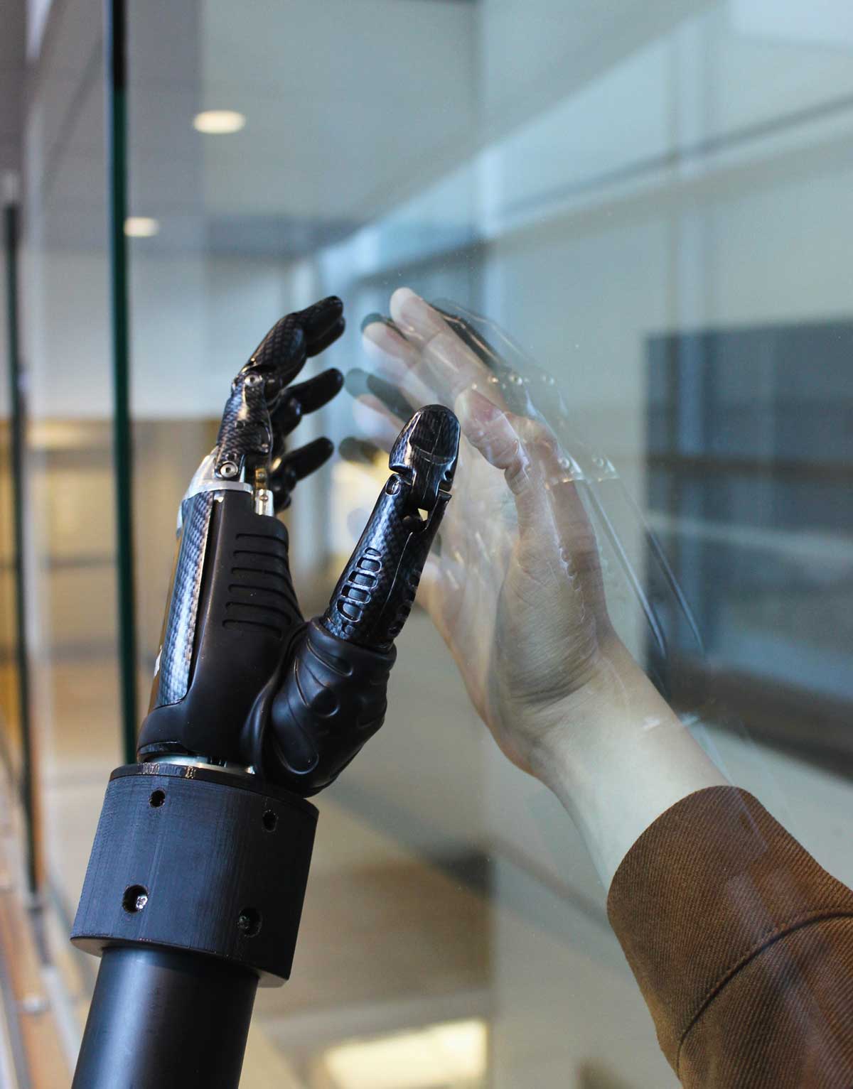 A bionic prosthesis and a human hand, separated by a glass barrier