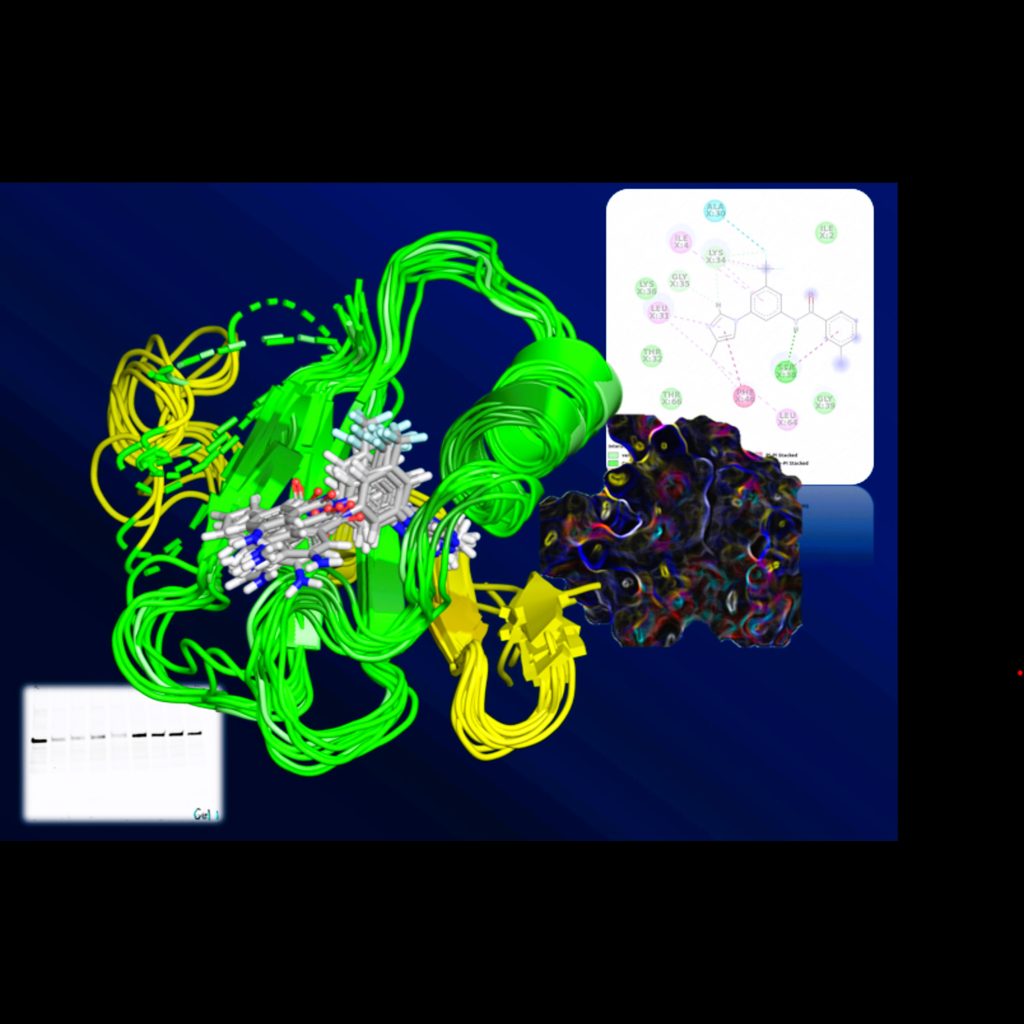 An anticancer drug and its receptor interacting with each other inside a cancer cell.