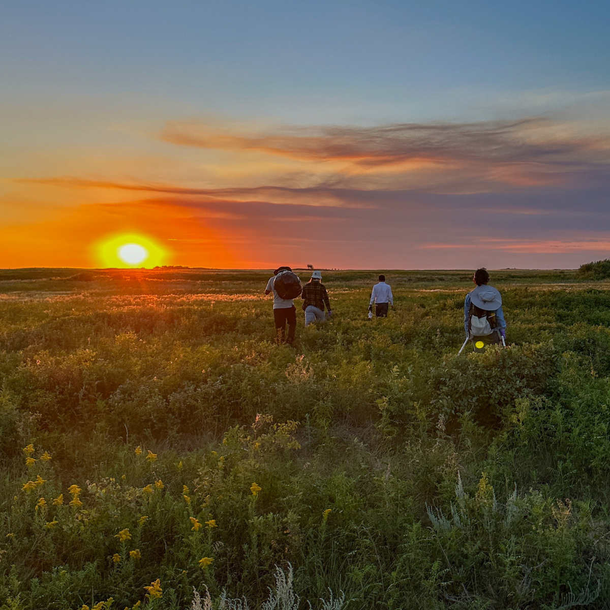 Sunset over the grassland at Mattheis Research Ranch, Alberta, Canada with researchers walking back after a long day of fieldwork.