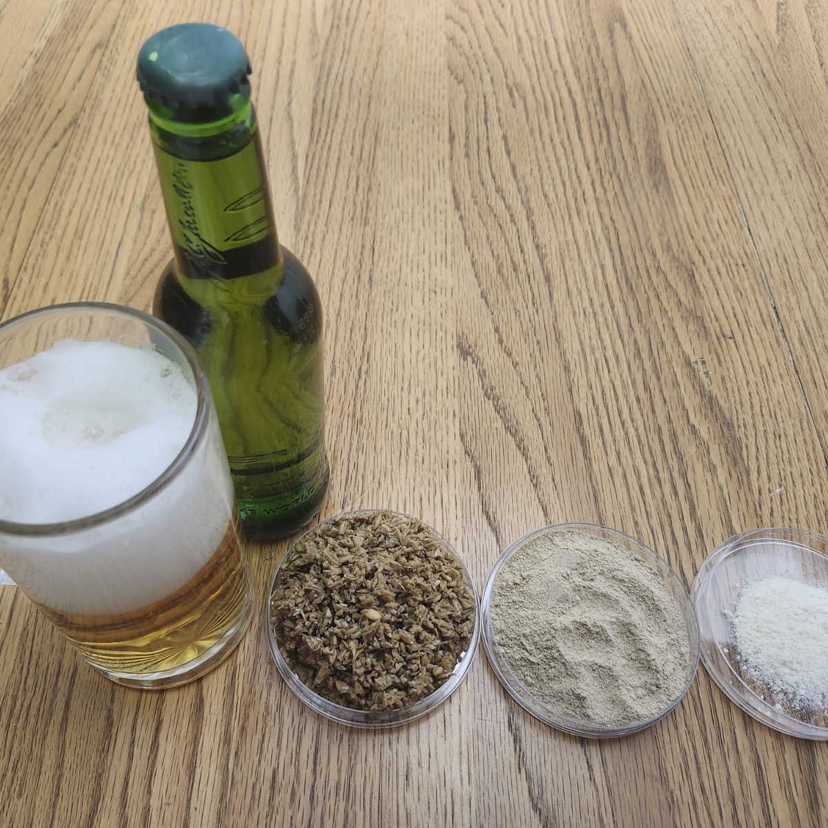 Fresh beer, wet brewer’s spent grain (BSG), dried BSG powder, and bioactive peptide-rich hydrolysate arranged side by side.