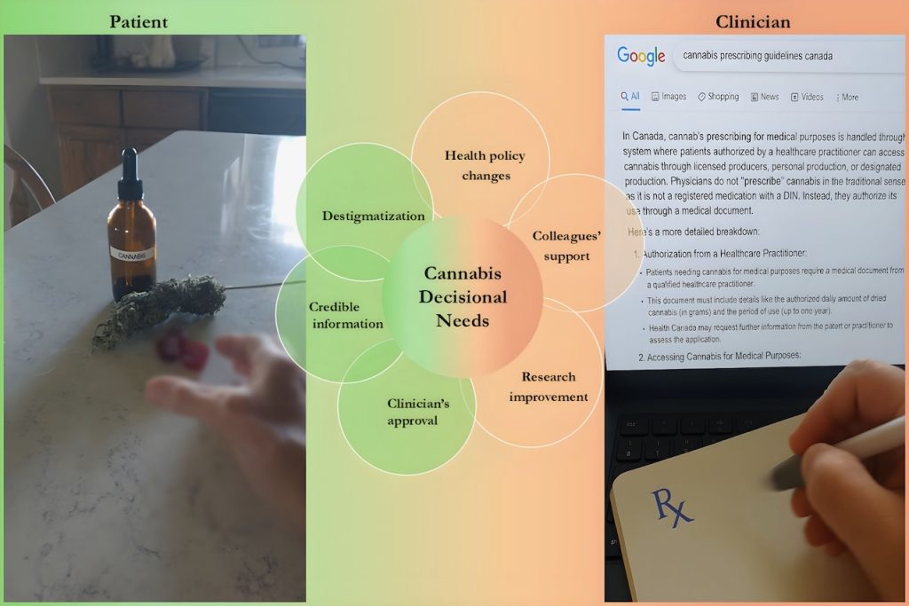 Blurred patient and clinician hands surround a data flower visualizing key decisional needs to facilitate cannabis decisions.