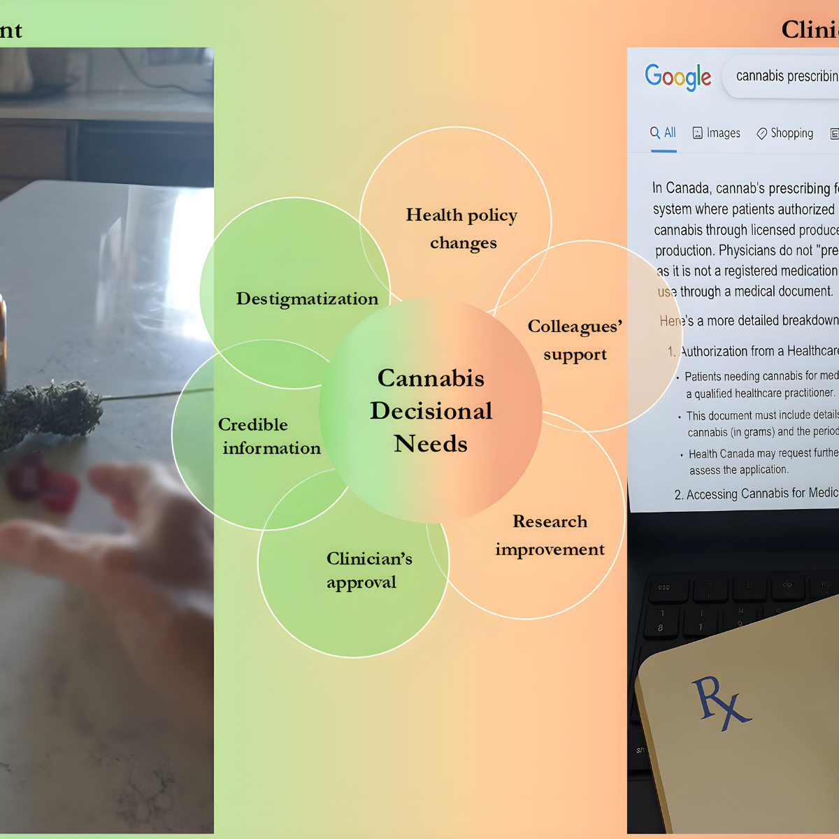 Blurred patient and clinician hands surround a data flower visualizing key decisional needs to facilitate cannabis decisions.