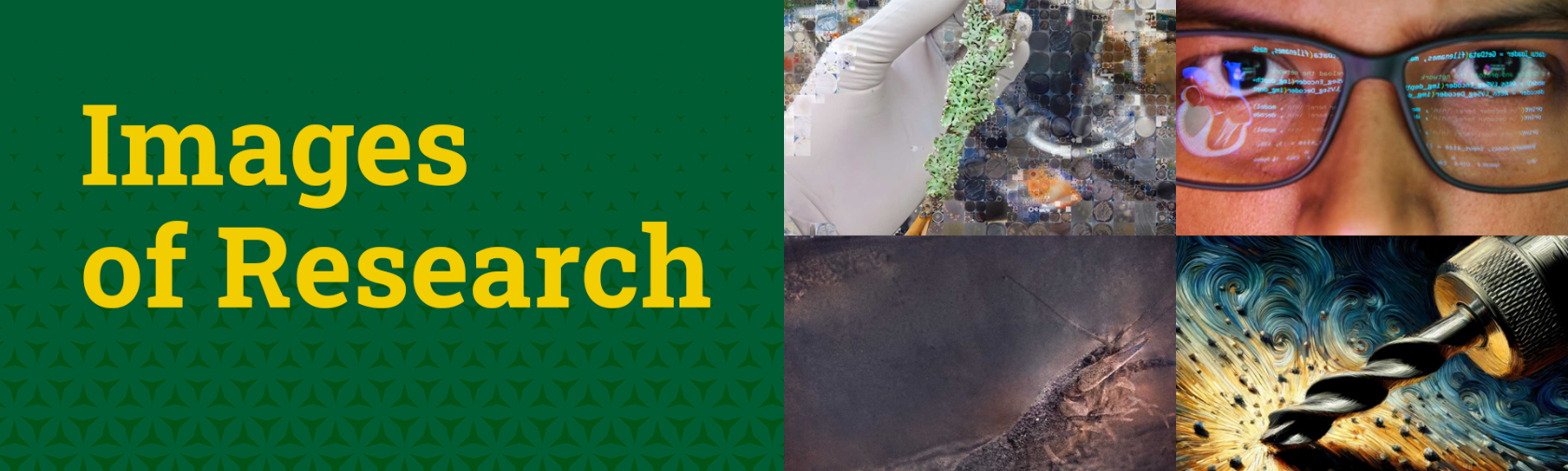cropped-Images-of-Research-2024-Semi-Finalists-Green.png