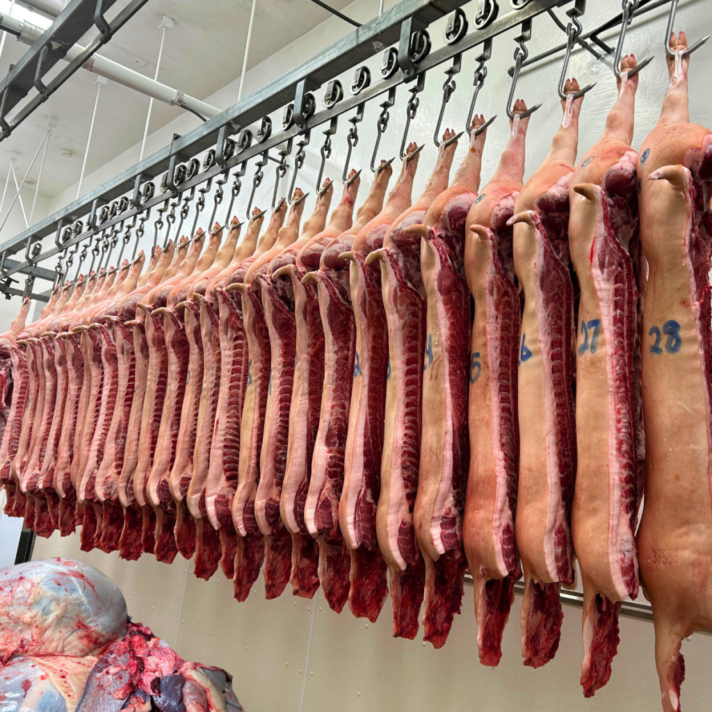 Dressed Meat Carcass arranged for quality evaluation, while edible meat by-products are piled for garbage.