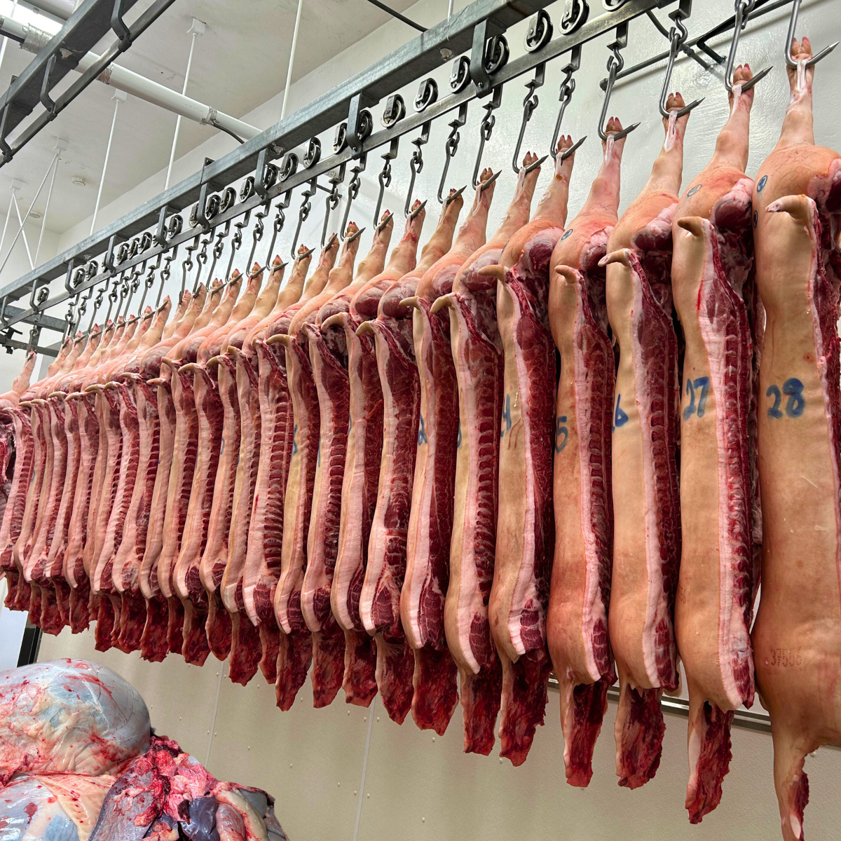 Dressed Meat Carcass arranged for quality evaluation, while edible meat by-products are piled for garbage.