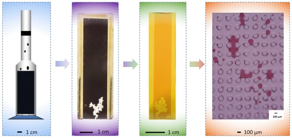 From Core to Pore: How Water Moves Through Tiny Spaces to Displace Oil