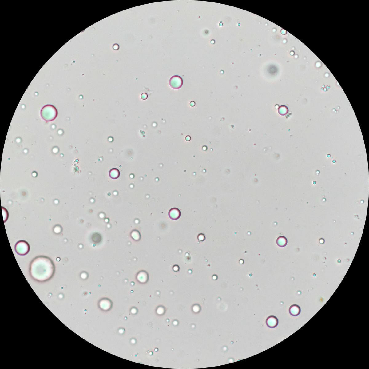 Microscopic image of oleosomes, resembling a cratered moon, symbolizing the parallels between medicine and space exploration.