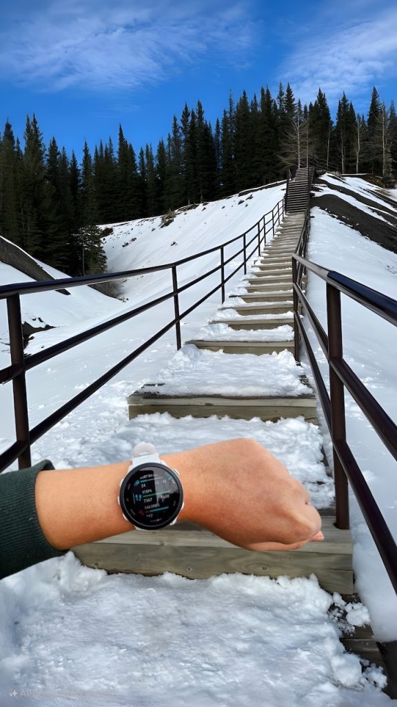 Garmin watch on wrist recording health data facing a snow-covered bridge symbolizing the uncertain journey of chronic illness.