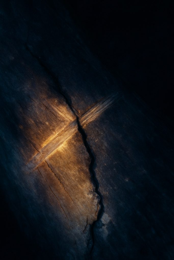 Image of a burned tibia captured with a microscope, showing a saw kerf and heat fracture, viewed under filtered lighting.