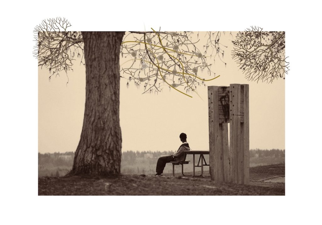 A person sits quietly on a bench under a tree; the drooping branches have been digitally edited to resemble neurons.