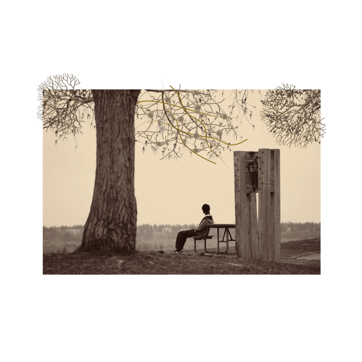A person sits quietly on a bench under a tree; the drooping branches have been digitally edited to resemble neurons.