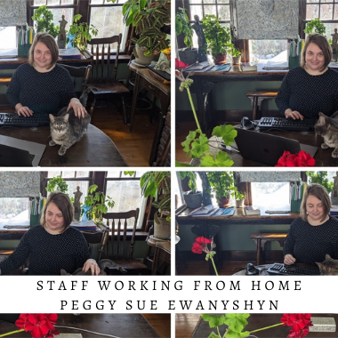 librarians working from home