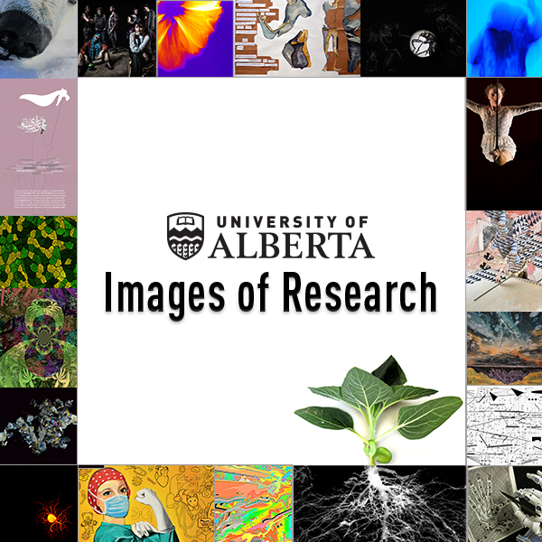 The Images of Research logo surrounded by a border of previous submission images.