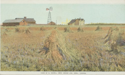 A crop field with bushels of wheat foreground a cluster of farm buildings. Text at the bottom reads 'Farm of H. Dorell, near Moose Jaw, Assa., Canada.'