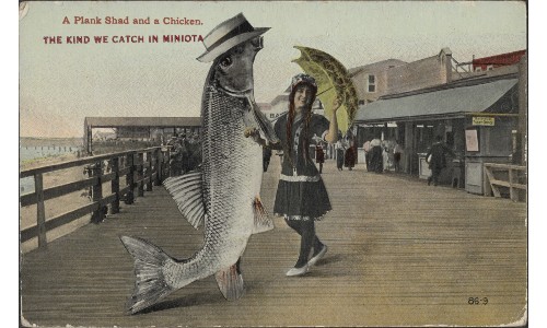 A person-sized fish wearing a fedora stands on its tail fin besides a woman holding a yellow umbrella in the middle of a boardwalk. Text in the top left reads 'A Plank Shad and a Chicken. The kind we catch in Miniota.'