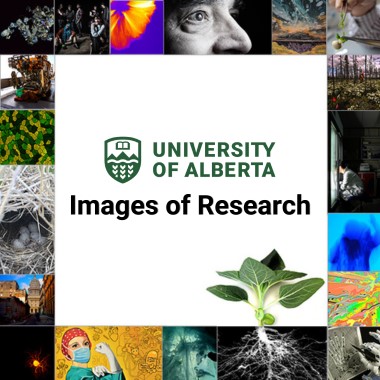 images of research