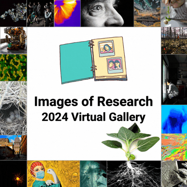 A photo album cover opens and closes over two photos over the words 'Images of Research: 2024 Virtual Gallery'.