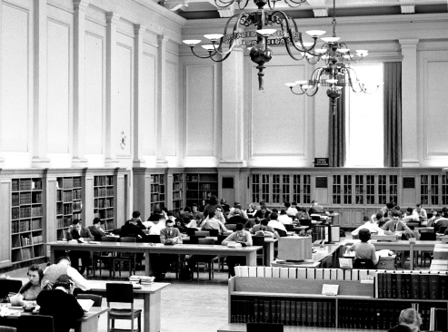 People studying in Rutherford South Library reading room