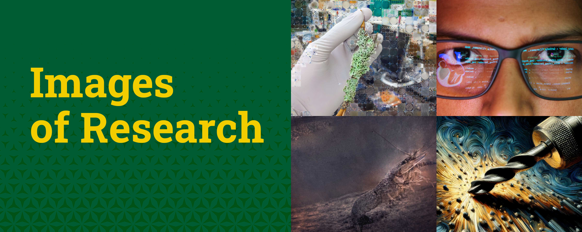 Images of Research written to the left with four images from 2024 to the right in a grid.